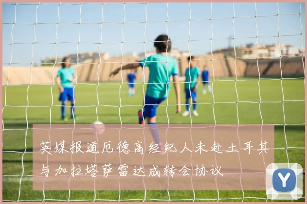 英媒报道厄德高经纪人未赴土耳其与加拉塔萨雷达成转会协议